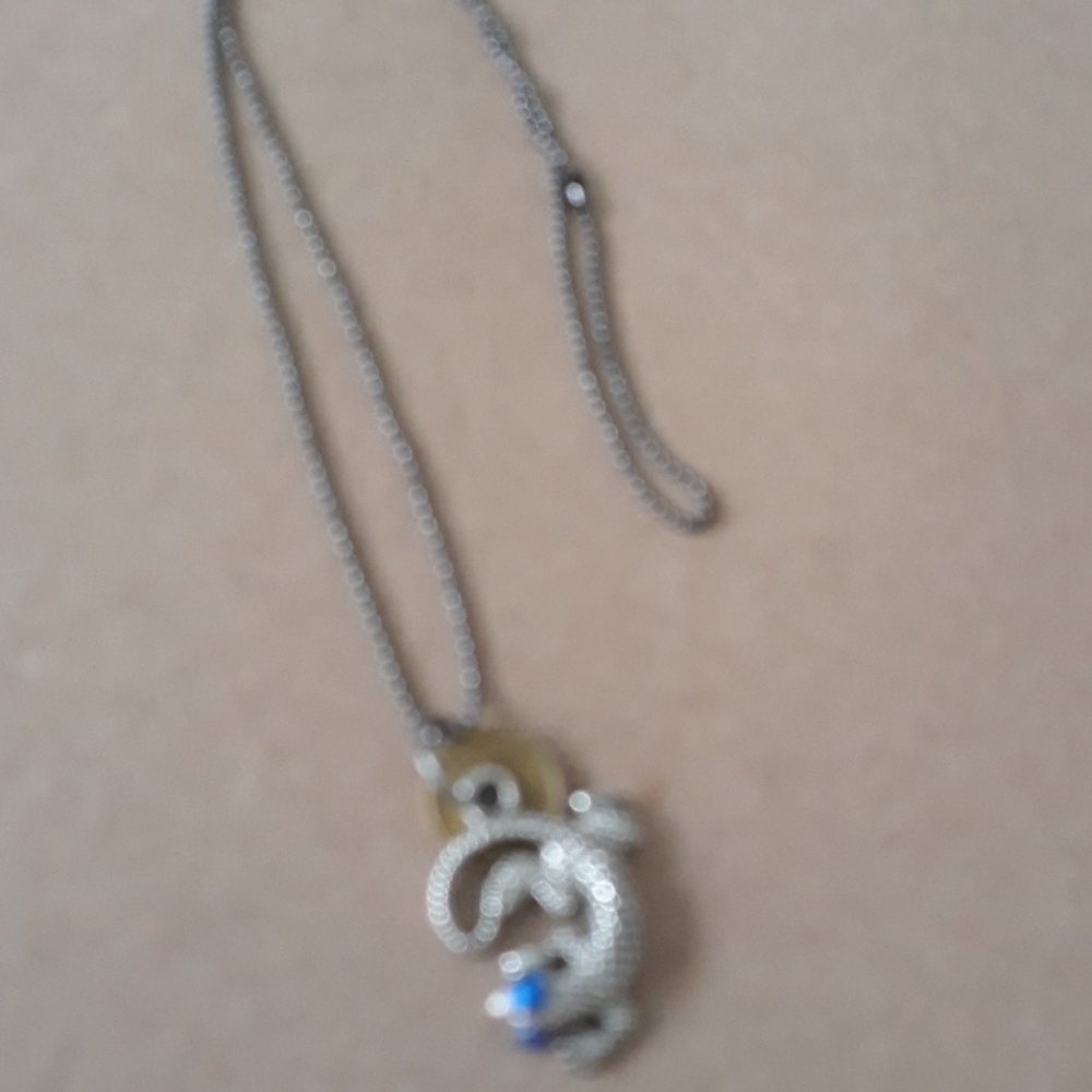 Unisex blue eyes lizard - Picture 2 of 2